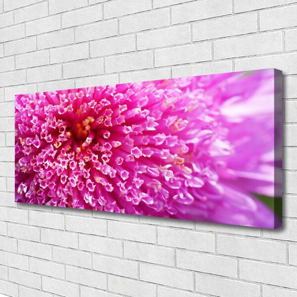 Tablou pe panza canvas Florale flori roz