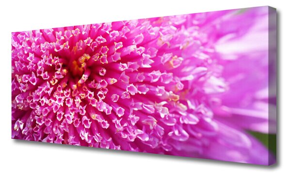Tablou pe panza canvas Florale flori roz