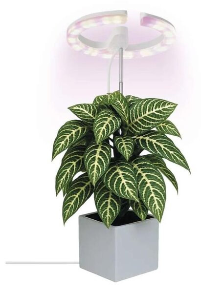 Lampă LED dimabilă de interior pentru cultivarea plantelor GROW LED/8W/5V