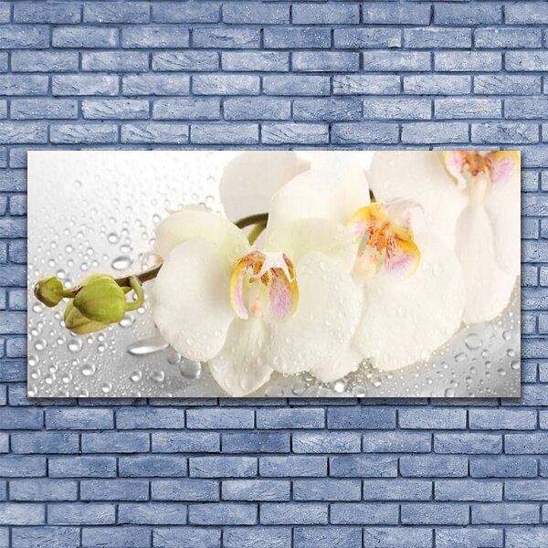 Tablou pe panza canvas Flori Floral Alb Gri