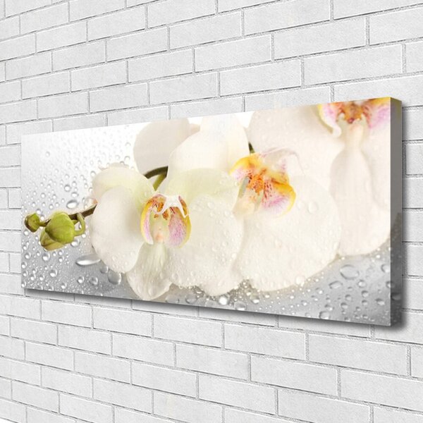 Tablou pe panza canvas Flori Floral Alb Gri