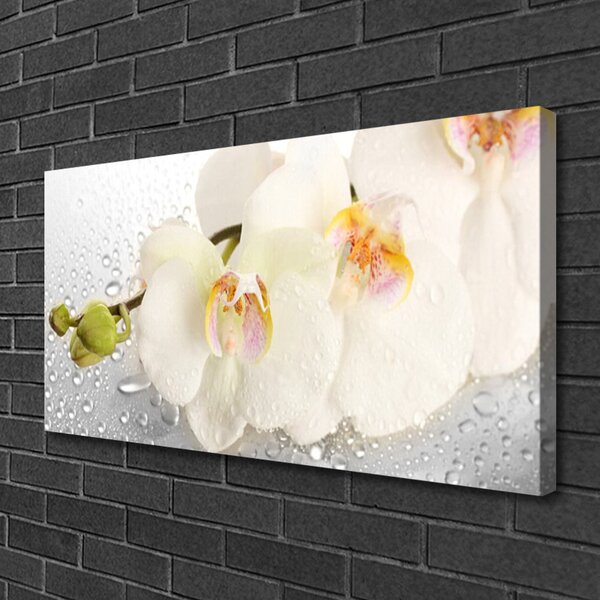 Tablou pe panza canvas Flori Floral Alb Gri