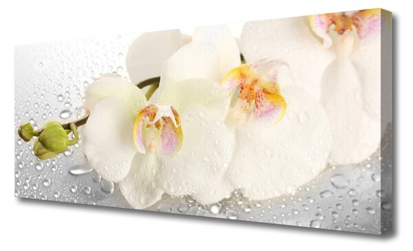 Tablou pe panza canvas Flori Floral Alb Gri