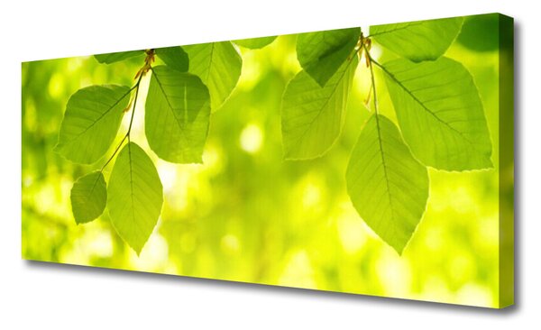 Tablou pe panza canvas Frunze verde florale