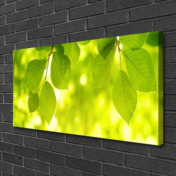 Tablou pe panza canvas Frunze verde florale
