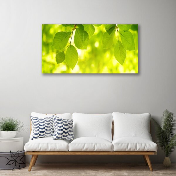 Tablou pe panza canvas Frunze verde florale