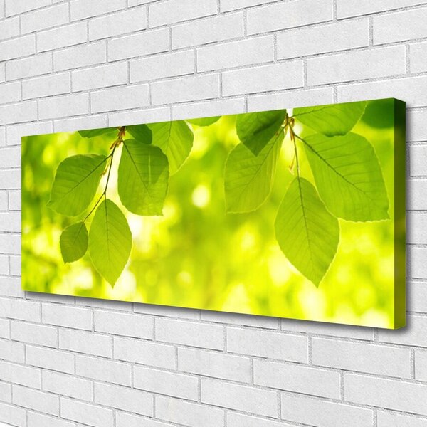 Tablou pe panza canvas Frunze verde florale