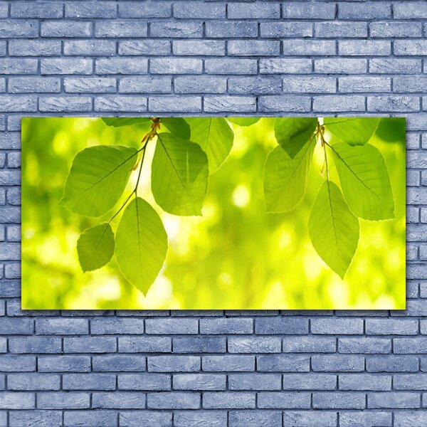 Tablou pe panza canvas Frunze verde florale