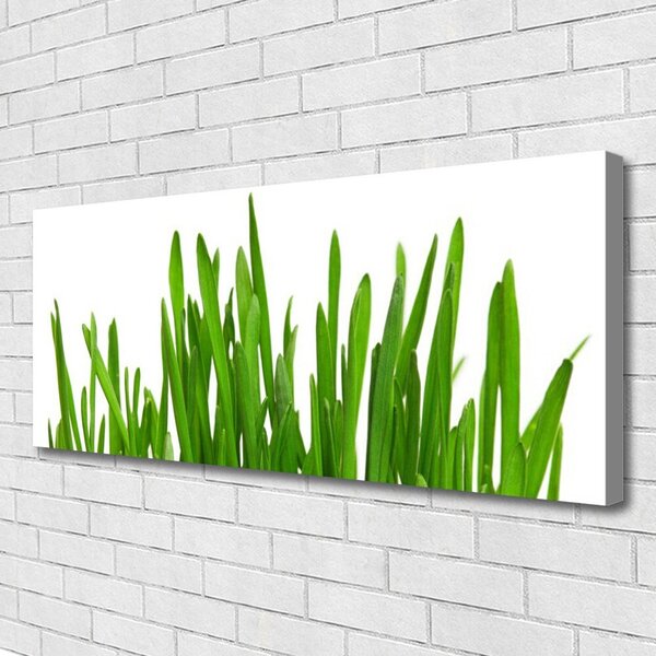 Tablou pe panza canvas Iarbă Floral Verde Alb
