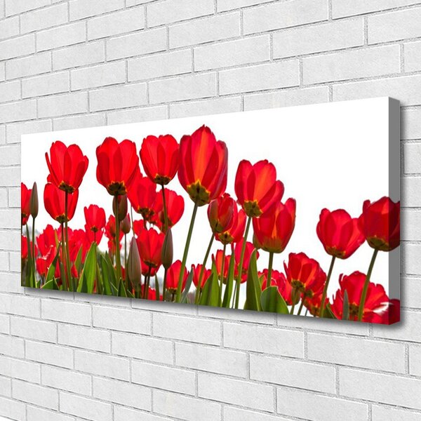 Tablou pe panza canvas Flori Floral Roșu Verde Alb