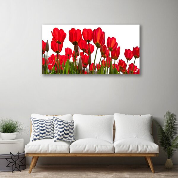 Tablou pe panza canvas Flori Floral Roșu Verde Alb