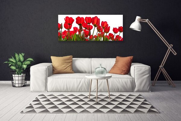 Tablou pe panza canvas Flori Floral Roșu Verde Alb