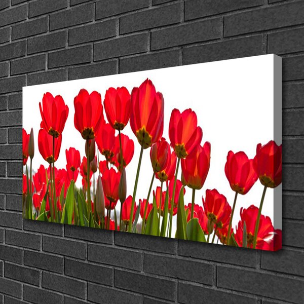 Tablou pe panza canvas Flori Floral Roșu Verde Alb