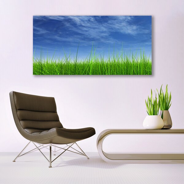 Tablou pe sticla Sky Grass Nature Albastru Verde