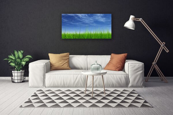 Tablou pe panza canvas Sky Grass Nature Albastru Verde