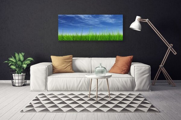Tablou pe panza canvas Sky Grass Nature Albastru Verde