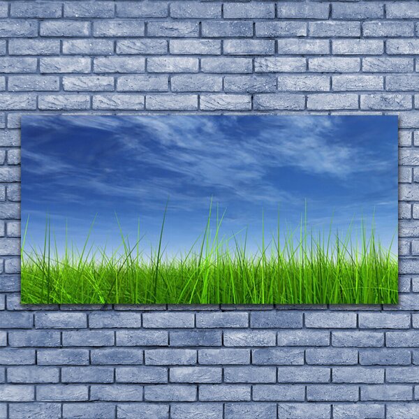 Tablou pe sticla Sky Grass Nature Albastru Verde