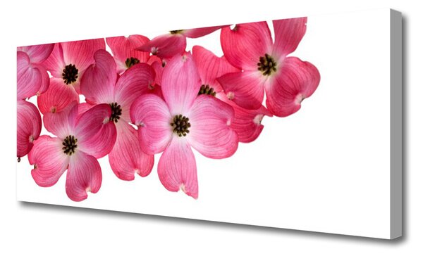 Tablou pe panza canvas Flori Floral Roz Alb