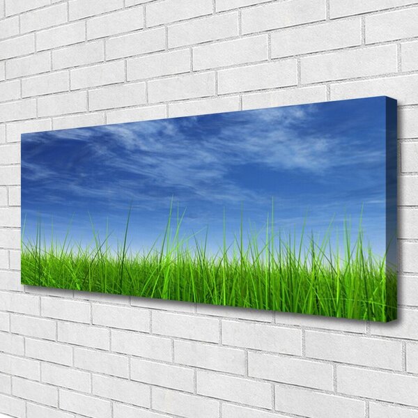 Tablou pe panza canvas Sky Grass Nature Albastru Verde
