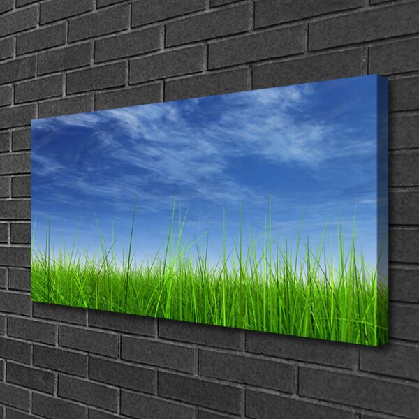 Tablou pe panza canvas Sky Grass Nature Albastru Verde