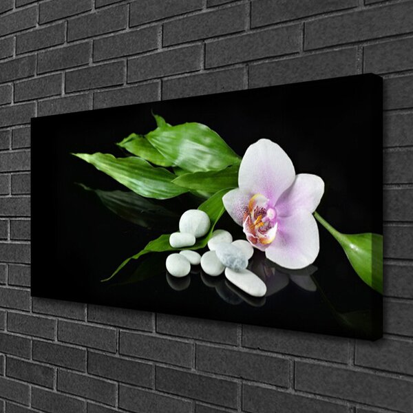 Tablou pe panza canvas Pietrele de flori Frunze Floral Alb Roz Verde Negru