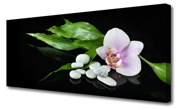 Tablou pe panza canvas Pietrele de flori Frunze Floral Alb Roz Verde Negru
