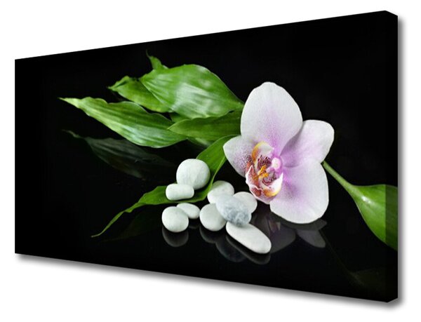 Tablou pe panza canvas Pietrele de flori Frunze Floral Alb Roz Verde Negru
