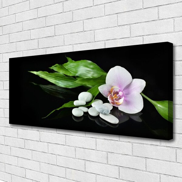 Tablou pe panza canvas Pietrele de flori Frunze Floral Alb Roz Verde Negru