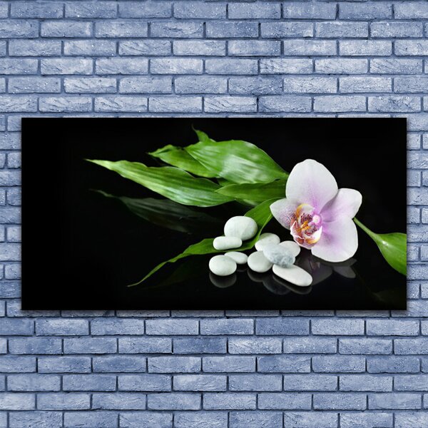 Tablou pe panza canvas Pietrele de flori Frunze Floral Alb Roz Verde Negru
