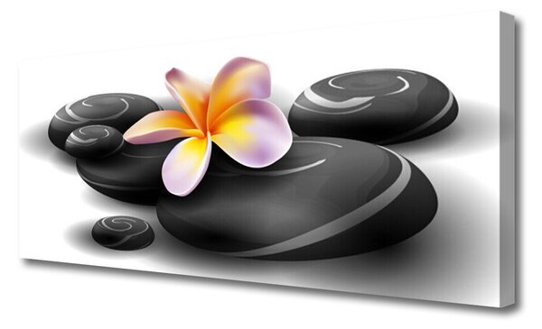 Tablou pe panza canvas Pietrele de flori Natura Negru Galben Violet Gri