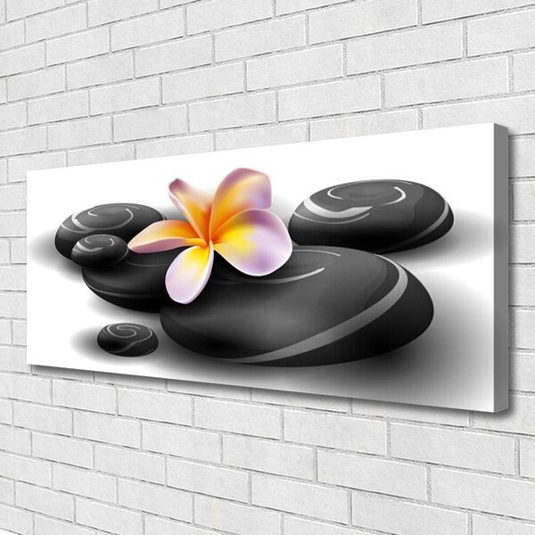 Tablou pe panza canvas Pietrele de flori Natura Negru Galben Violet Gri