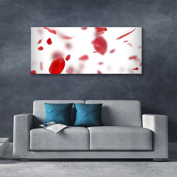 Tablou pe panza canvas Rose Petale Floral Roșu Alb