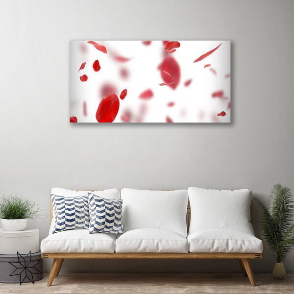 Tablou pe panza canvas Rose Petale Floral Roșu Alb