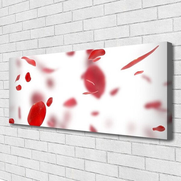 Tablou pe panza canvas Rose Petale Floral Roșu Alb