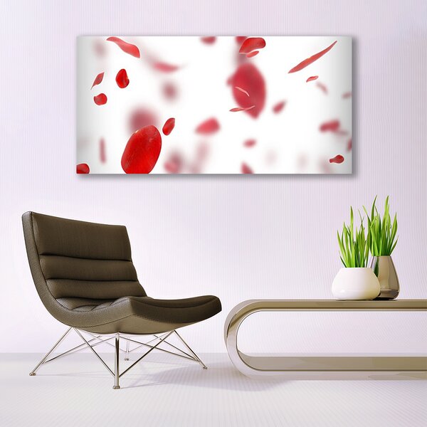 Tablou pe panza canvas Rose Petale Floral Roșu Alb