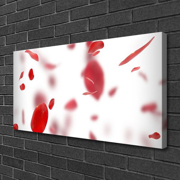 Tablou pe panza canvas Rose Petale Floral Roșu Alb