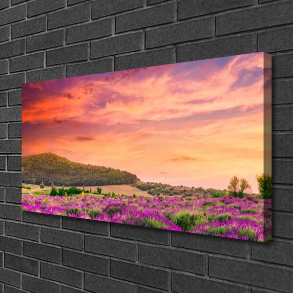 Tablou pe panza canvas Meadow Flori Peisaj Purple Verde Roz