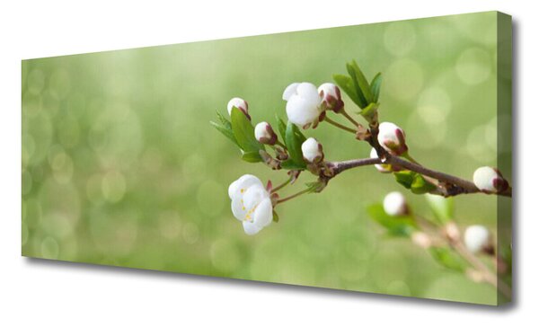 Tablou pe panza canvas Flori Floral Verde Alb