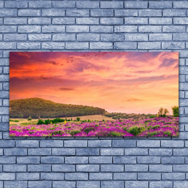 Tablou pe panza canvas Meadow Flori Peisaj Purple Verde Roz