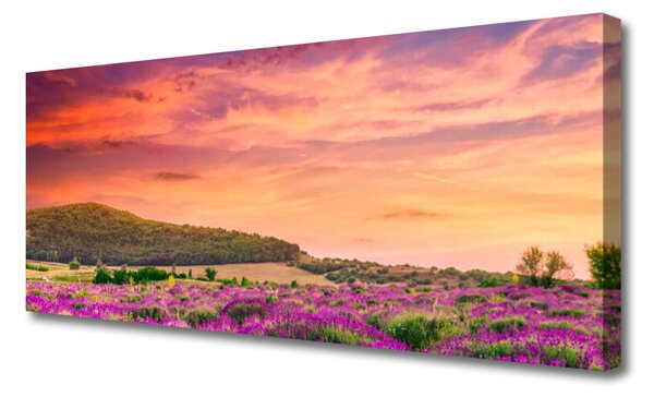 Tablou pe panza canvas Meadow Flori Peisaj Purple Verde Roz