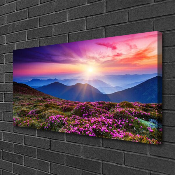 Tablou pe panza canvas Muntii Meadow Flori Peisaj Violet Roz Albastru Verde