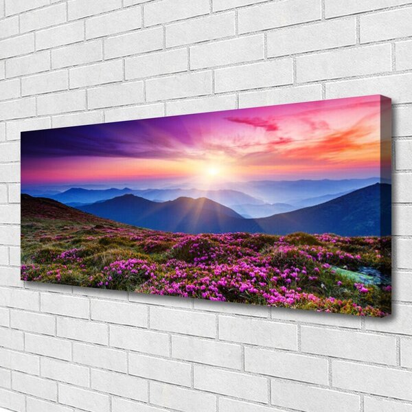 Tablou pe panza canvas Muntii Meadow Flori Peisaj Violet Roz Albastru Verde