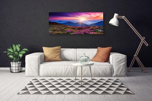 Tablou pe panza canvas Muntii Meadow Flori Peisaj Violet Roz Albastru Verde
