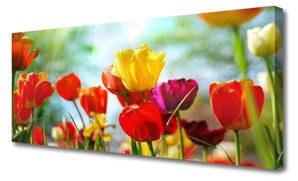 Tablou pe panza canvas Flori Floral Rosu Galben Roz Verde