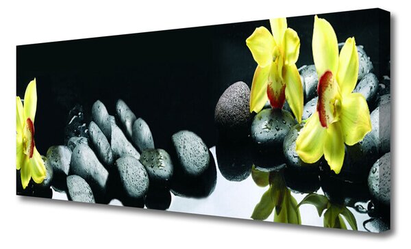 Tablou pe panza canvas Pietrele florale flori galben negru