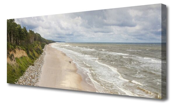 Tablou pe panza canvas Sea Beach copac Natura Gri Verde Alb
