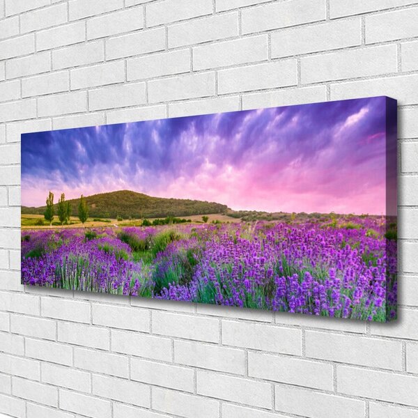 Tablou pe panza canvas Meadow Munții Flori Natura Verde Violet Albastru Roz