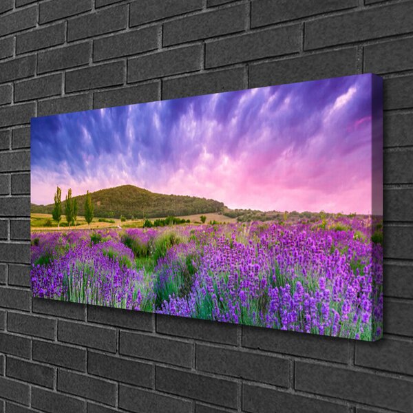 Tablou pe panza canvas Meadow Munții Flori Natura Verde Violet Albastru Roz