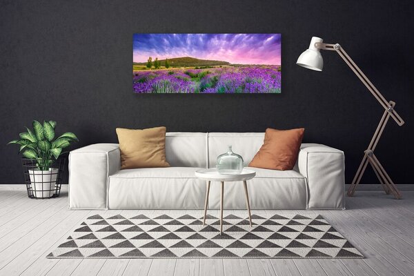 Tablou pe panza canvas Meadow Munții Flori Natura Verde Violet Albastru Roz