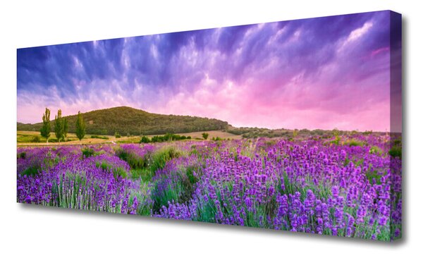 Tablou pe panza canvas Meadow Munții Flori Natura Verde Violet Albastru Roz